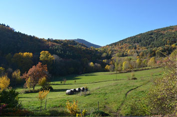 Gite de groupe La Terre du Buisson