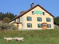 Gite de groupe Vosges