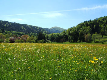 Gite de groupe Centre du Torrent