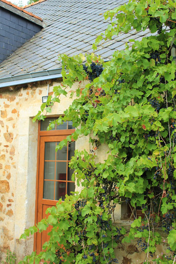 Gite de groupe Gîte de La Tournerie