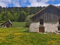 Vercors Intense