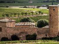 Gite de groupe Rhône