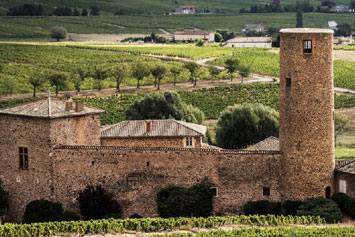 Gite de groupe Gîte du Vigneron