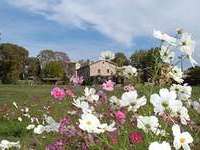 Gite de groupe Hérault
