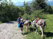 Alpes découverte L'Arche