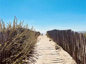 Les 12 retrouvailles