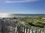 Les 12 retrouvailles