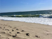 Les 12 retrouvailles