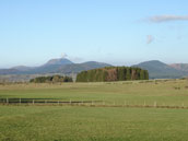 Gîte le Bonheur dans le Pré