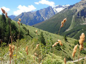 Auberge de Jeunesse HI Serre Chevalier 