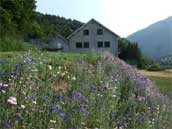 A Chêne et Roc Gite Grand Chalet