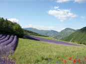 L'Adret de Cornillac