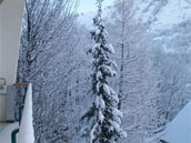 Alpaneige