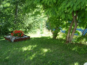 Alpaneige