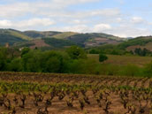 Gite de l'Amandier