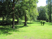 L'Appel de la Forêt