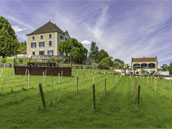 Demeure les Arbillons - Gîte Gamay