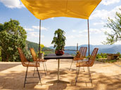 Domaine de l'Arbre Nouveau
