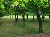 Le Gite au Bois Dormant