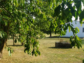 Le Gite au Bois Dormant