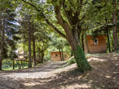 Gîte des Ayasses
