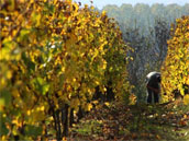 Le Logis du Livier