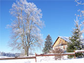 Centre de Loisirs du Barboux - Le Refuge