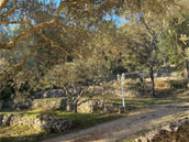 La Baume des Oliviers