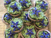 Gite de Belles Ombres