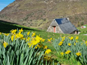 Bergerie de la Montagne Verte