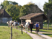 La Bergerie Le Tour