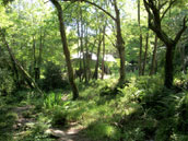 Gite communal de Beuzec-Cap-Sizun