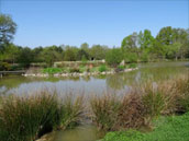 La Billeratière