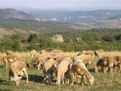 Gite La Blaquière