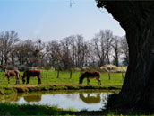 Gîte de Bonnège