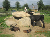 La Ferme de la Bouguerie
