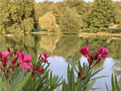 Gites de la Bretonnière