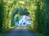 Domaine de Buchenois