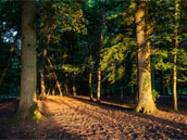 Centre d'activités de Jambville