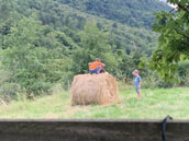 Cabania - Gîte de la Bastide