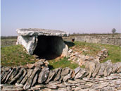 CARAE