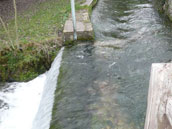 La Cascade de Gertrude