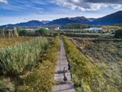 Domaine Castell de Blés