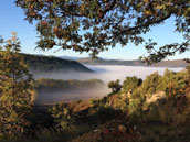 Domaine de Castillou