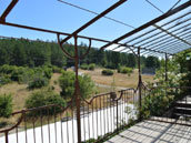 Domaine Le Caussanel