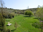 Domaine Le Caussanel