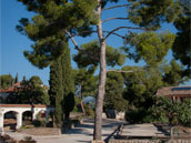 Centre Azur