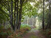Centre les Landes