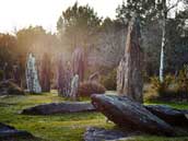 Centre les Landes