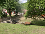 Centre du Ruisseau